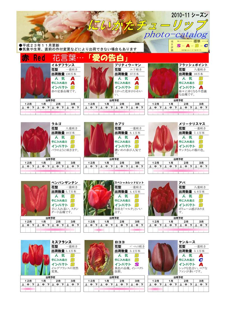 新潟チューリップ切花品種カタログ Moois モーイス